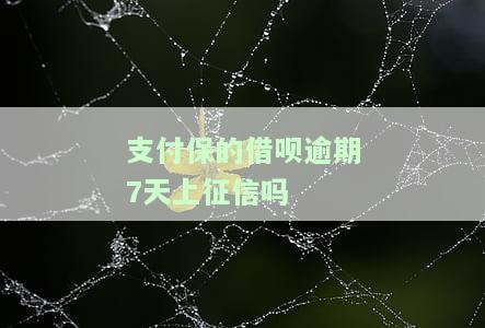 支付宝借呗逾期7天上征信吗，支付宝借呗逾期7天是否会上征信？你需要了解的事情