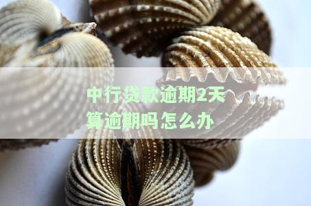 中国银行贷款逾期2天对信誉会有影响吗，中国银行：贷款逾期2天是否会影响个人信誉？