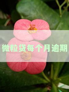 微粒贷每个月逾期几天还款有影响吗？多次逾期需要全部偿还