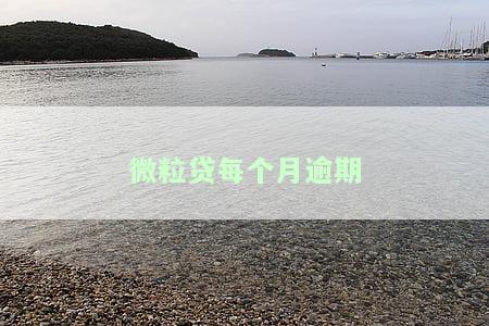 微粒贷每月逾期后都还清，如何关闭催收？