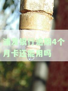 浦发银行逾期4个月卡还能用吗？协商分期还款可行吗？逾期50000万有何后果？