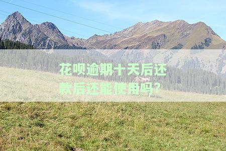 花呗逾期十天后还款后还能使用吗?-花呗逾期十天后还款后还能使用吗安全吗