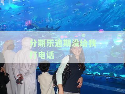 分期乐逾期不接电话，分期乐逾期：为何借款人不接听催收电话？