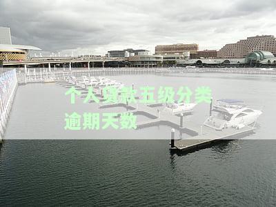 贷款五级分类逾期贷款，深度解析：贷款五级分类体系下的逾期贷款问题