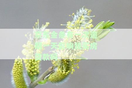 京东金条逾期一天影响我买房贷款吗？会否上征信、影响房贷审批？全解！