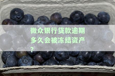 微众银行贷款逾期多久会被冻结资产？影响及解决办法