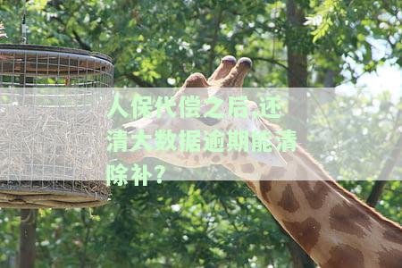 人保代偿之后,还清大数据逾期能清除补偿款吗，人保代偿后，如何处理大数据逾期以清除补偿款？
