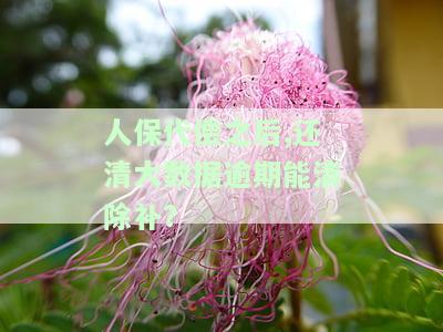 人保代偿之后，还清大数据逾期能清除补？-人保代偿之后,还清大数据逾期能清除补偿吗