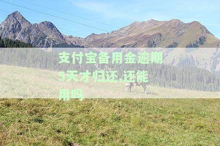 支付宝备用金逾期5天才归还,还能用吗，支付宝备用金逾期5天后还款，是否影响再次使用？