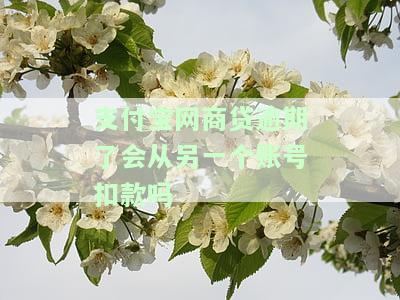 支付宝网商贷逾期还进去又能借出来？还款后能否再次借款？