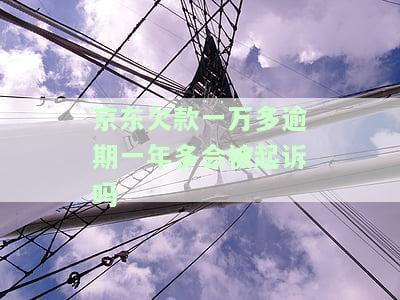 京东欠款1万多久不还会被起诉？后果严重！