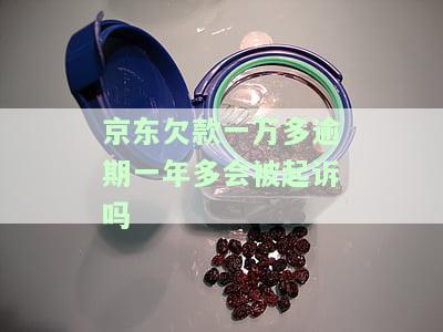京东欠款一万多逾期一年多会被起诉吗-京东金条怎么协商期还款