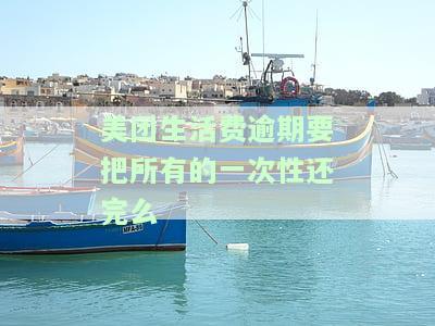 美团生活费逾期还进去还能取出来吗，美团生活费逾期还款后，能否再次取出?