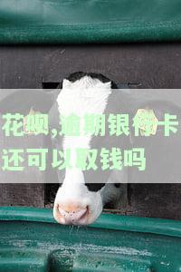花呗逾期了银行卡有钱了会不会马上扣了，解答你的疑惑：花呗逾期后，银行卡有钱了会立即扣款吗？