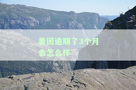 美团逾期3个月会如何？是否会影响征信？已过3个月还能借款吗？需要还清全额吗？