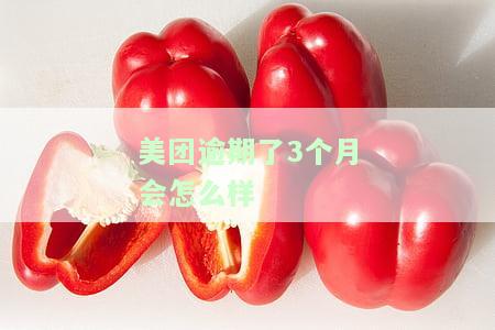 美团逾期了3个月会怎么样-美团逾期了3个月会怎么样吗