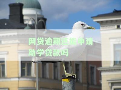 网贷逾期还可以申请助学贷款吗，网贷逾期是否影响助学贷款申请？