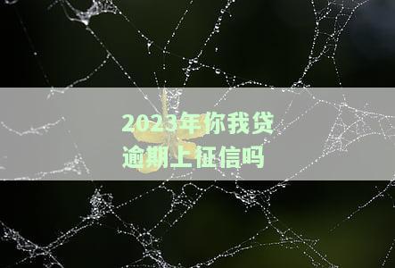 2023年你我贷逾期上征信吗