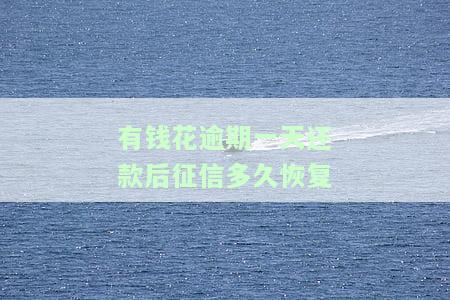 有钱花逾期一天有什么影响，了解有钱花逾期一天的后果