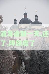 浦发逾期一天,还了,降额度了怎么办，浦发银行信用卡逾期一天还款后被降额，如何解决？