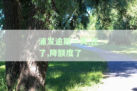 浦发逾期一天,还了,降额度了-浦发逾期一天,还了,降额度了怎么办