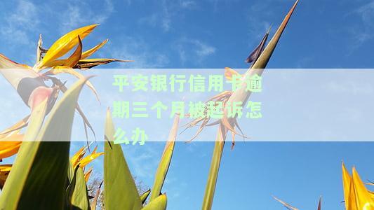 平安银行信用卡逾期三个月被起诉怎么办-平安银行信用卡逾期三个月被起诉怎么办理
