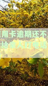欠信用卡会不会给母打电话催收？还款责任在谁身上？