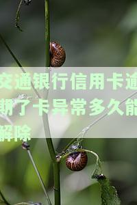 交通银行信用卡逾期了卡异常多久能解除-交通银行信用卡逾期了卡异常多久能解除