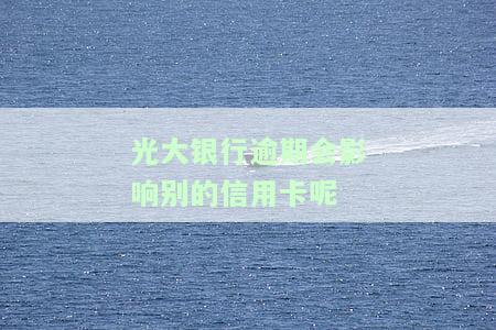 光大银行逾期会被告吗,中间也一直有还款，光大银行逾期还款：是否会被告？中间持续还款有何影响？