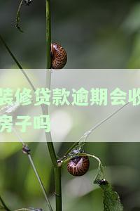 装修贷款逾期会收房子吗？后果、期限及解决办法全解析