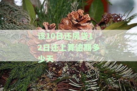 该10日还房贷12日还上算逾期多少天-该10日还房贷12日还上算逾期多少天呢