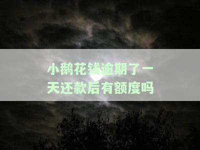 小鹅花钱逾期三天就让还全款，小鹅花钱：逾期三天需偿还全款！
