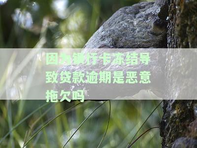 因为银行卡冻结导致贷款逾期是恶意拖欠吗