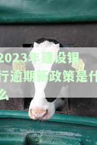 2023年建设银行逾期新政策是什么-2023年建设银行逾期新政策是什么呢