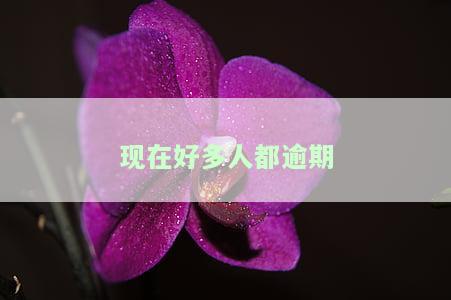 现在好多人都逾期，该怎么办？网贷、信用卡等各种逾期情况处理建议