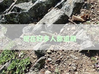 现在是不是很多人逾期网贷，网贷逾期现象日益严重，你是否也在其中？