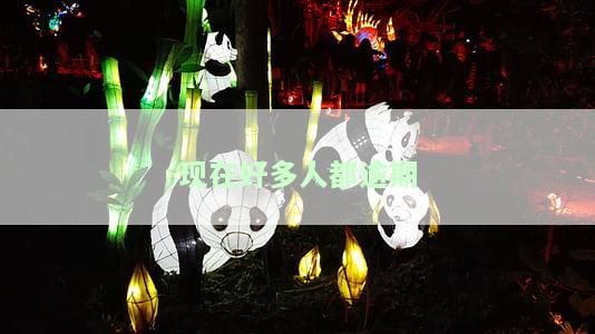 现在有多少人逾期，最新数据：当前逾期人数统计