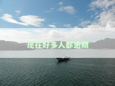 逾期人数上升趋势：2020年至今，逾期人数持续增多，2024年情况如何？