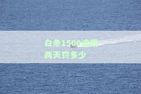 白条逾期1000多会不会起诉，白条逾期1000多元是否会面临法律诉讼？