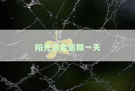 阳光消金逾期一天会怎么样，了解阳光消金逾期一天的后果