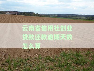 农村信用社创业贷款逾期后果及还款流程、利息全解析