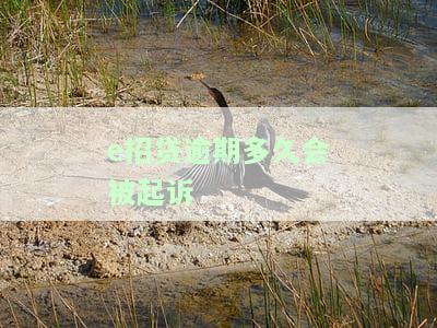 'e招贷逾期会不会被判刑？后果严重，上征信、高额罚息，多久会被起诉？'
