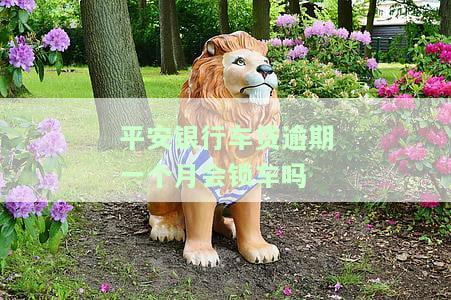平安银行车贷逾期一天晚上能还款吗？有何影响及解决办法？