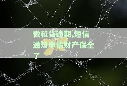 微粒贷逾期，短信通知申请财产保全，会被冻结支付宝吗？已申请强制执行是真的吗？该怎么办？