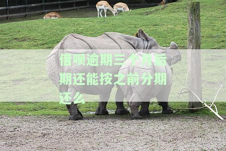 借呗逾期三个月后还款，多久能再次使用和恢复额度？