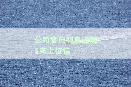 公司贷款利息逾期一天，企业信贷违约：逾期一天的利息负担