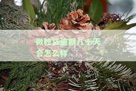 微粒贷逾期八十天会怎么样吗，警惕！微粒贷逾期80天可能带来的后果
