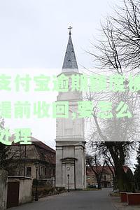 支付宝逾期额度被提前收回、要怎么处理-支付宝逾期额度被提前收回,要怎么处理呢