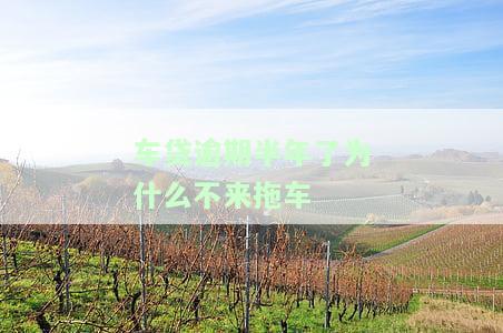 车贷逾期半年了为什么不来拖车了，为何车贷逾期半年未被拖车？原因解析