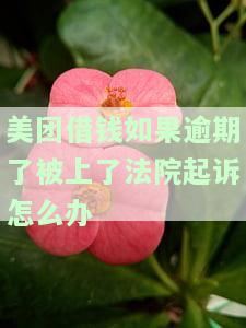 美团借钱逾期被起诉是真是假？逾期多久会起诉？